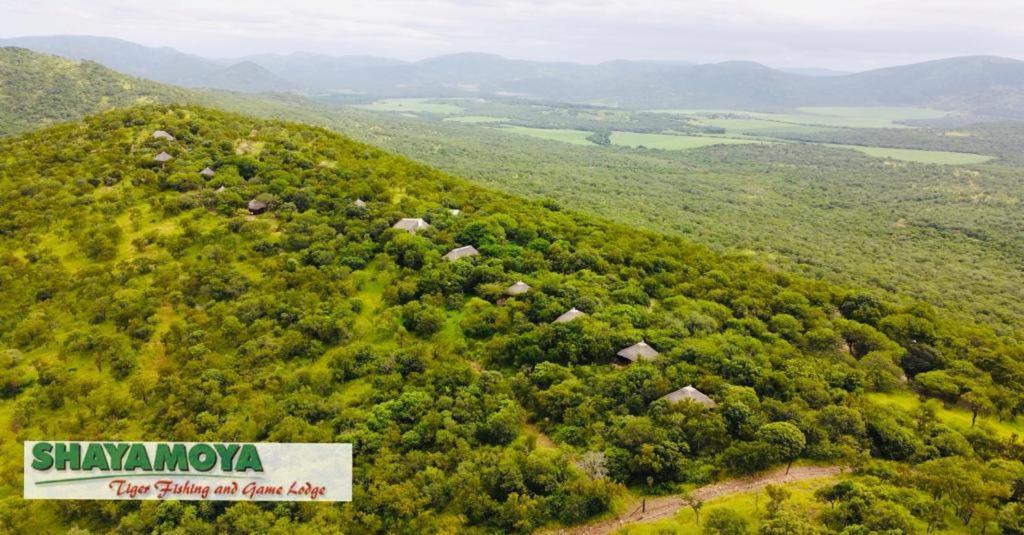 Shayamoya Tiger Fishing And Game Lodge พอนโกลา ภายนอก รูปภาพ